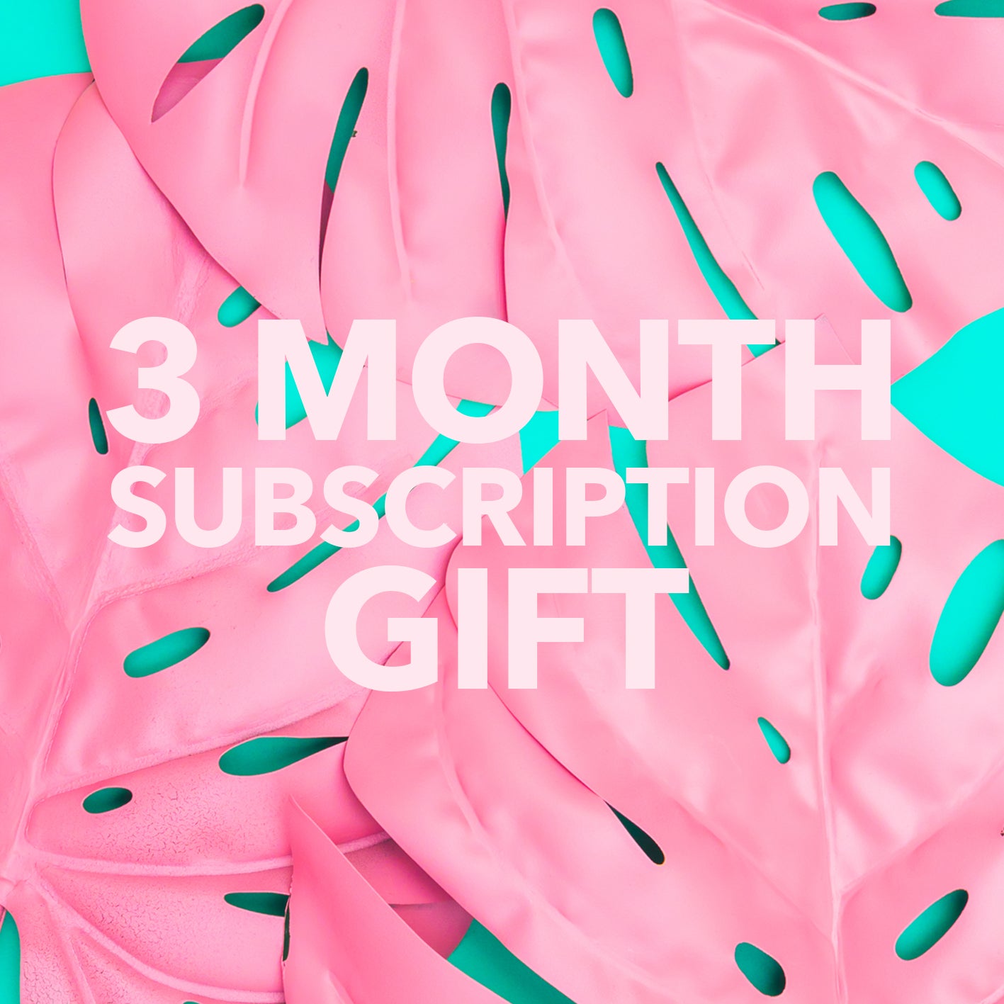 Subscription deals gift ideas